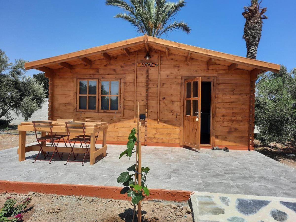 Camping Cyprus Glamping Park *